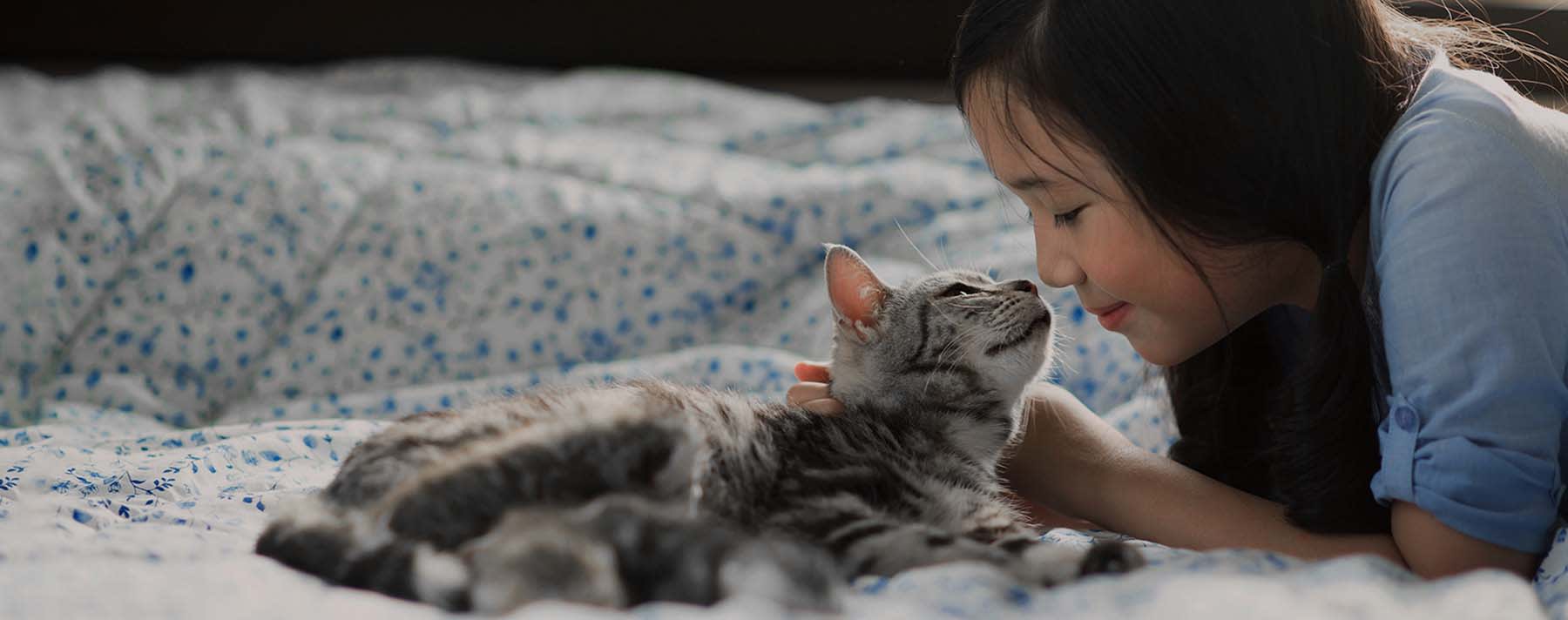cat and girl